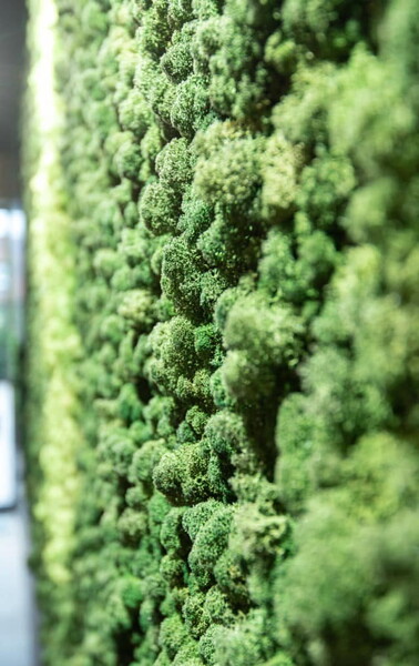 Referenz: Rodeo Lounge