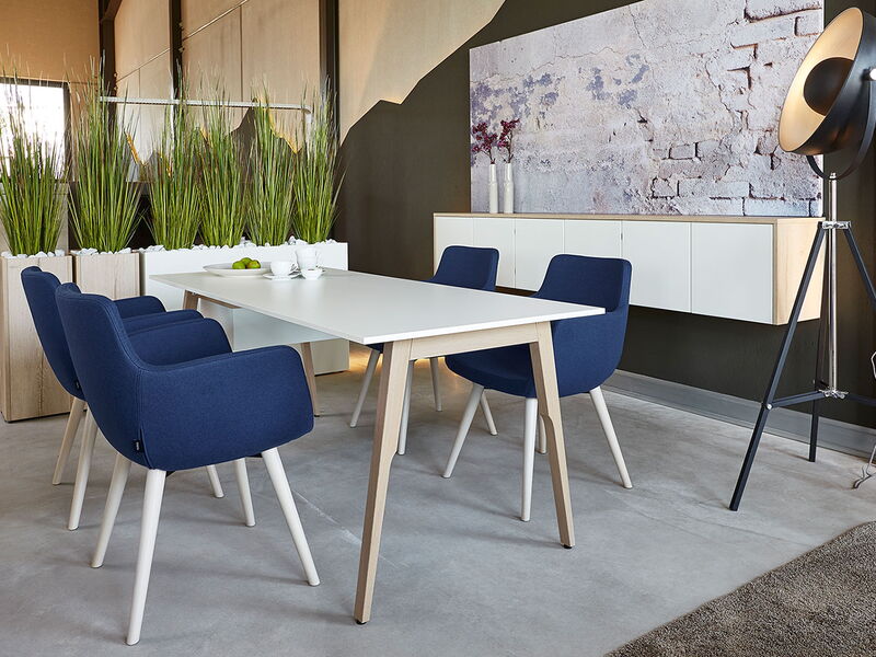 Büroeinrichtung in wohnlicher Atmosphäre